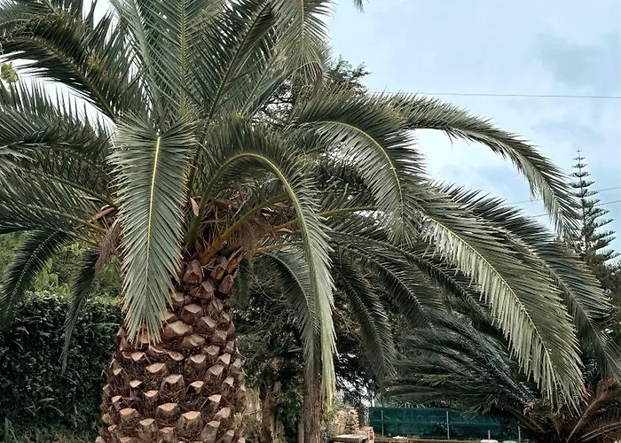 Gasthuis Quinta De Sao Jose By Pontanegraazores