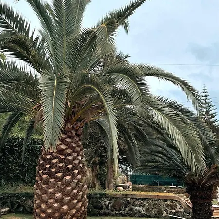 Гостевой дом Quinta De Sao Jose By Pontanegraazores